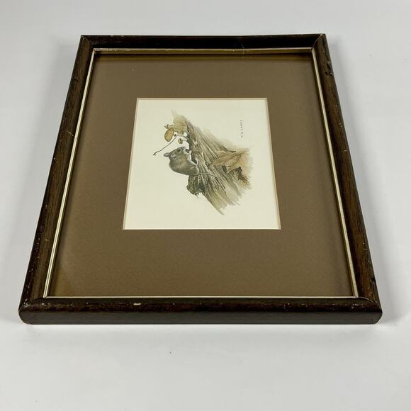 MG Loates Vintage 1970s Framed Print Mouse Mushrooms Woodland Animal 10.75x9” - Picture 6 of 9